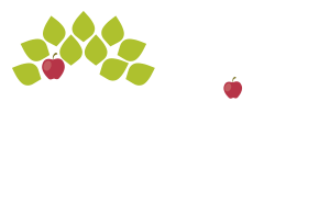 Inspire Development Centers